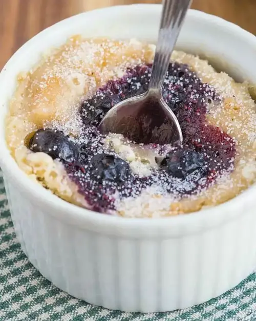 Vegan Blueberry Mug Muffin