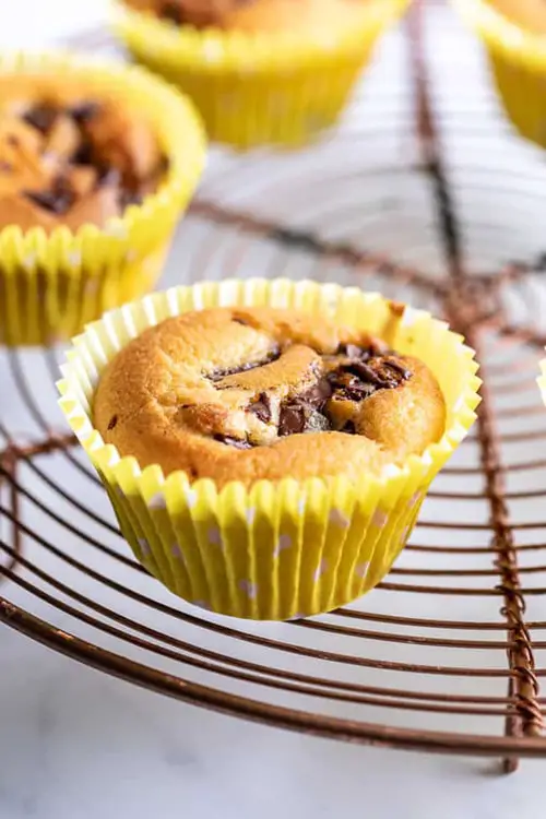 Keto Chocolate Chip Muffins